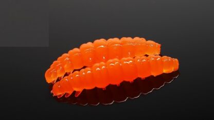 Larva