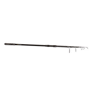 C1A