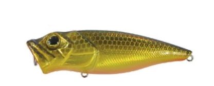  POP BASS