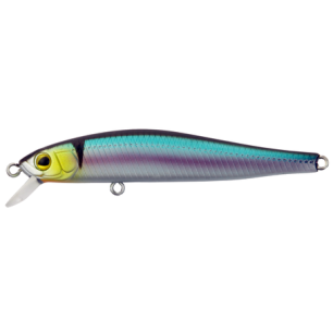 SNEAKY MINNOW