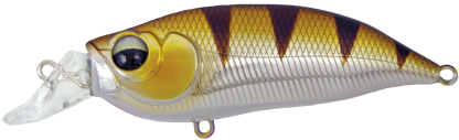 Secret shad