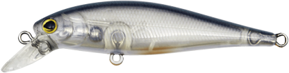 DRIFTIN SHAD