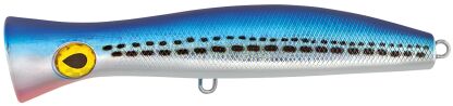 REEF POP