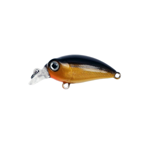 Squab Diver 