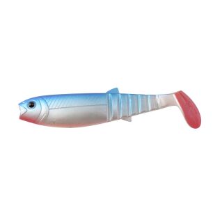20cm