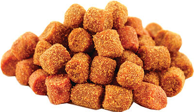 STIL PELLET HACZYKOWY SELECT 8mm CIASTECZKO KORZENNE
