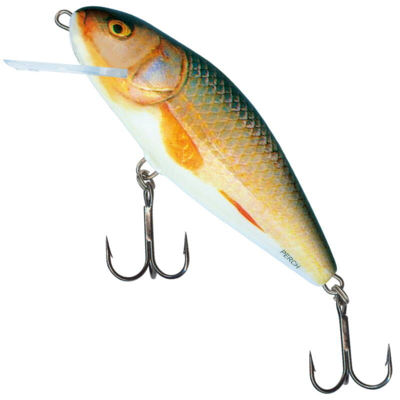 SALMO WOBLER PERCH FLOAT 8cm ROACH