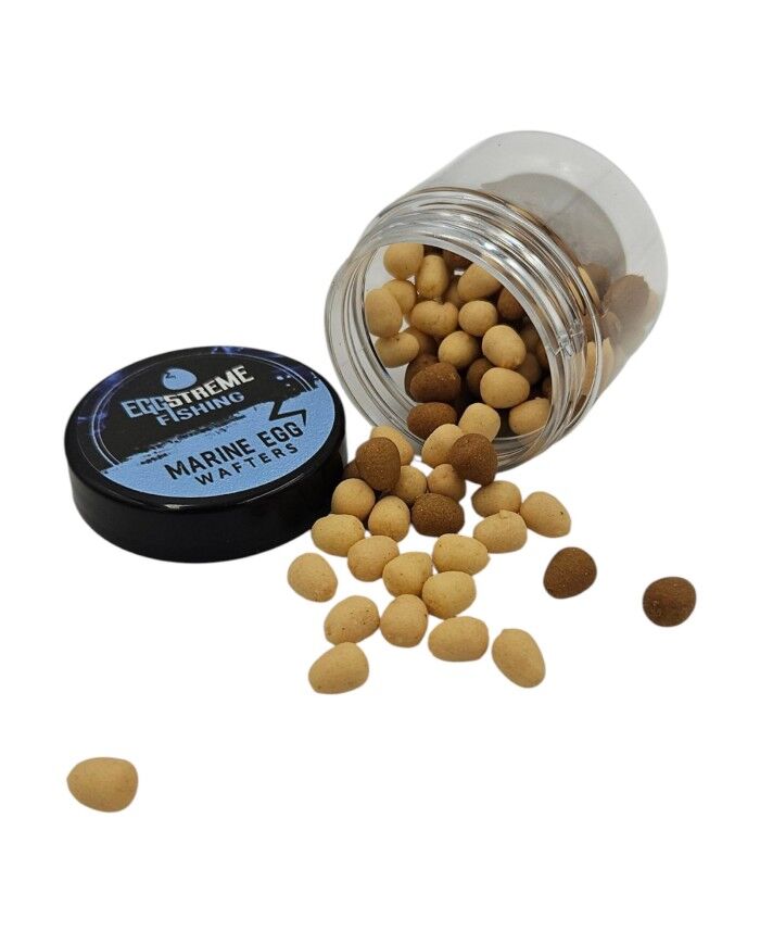 OSMO EGGSTREAME FISHING MARINE EGG WAFTERS - 4