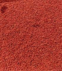 STALOMAX PELLET 2mm TRUSKAWKA 1kg