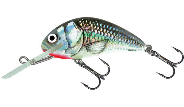 SALMO WOBLER HORNET FLOAT 5cm HOLOGRAPHIC GREY SHINER